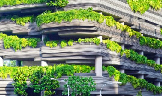 danist-soh-dqXiw7nCb9Q-unsplash danist-soh-dqXiw7nCb9Q-unsplash